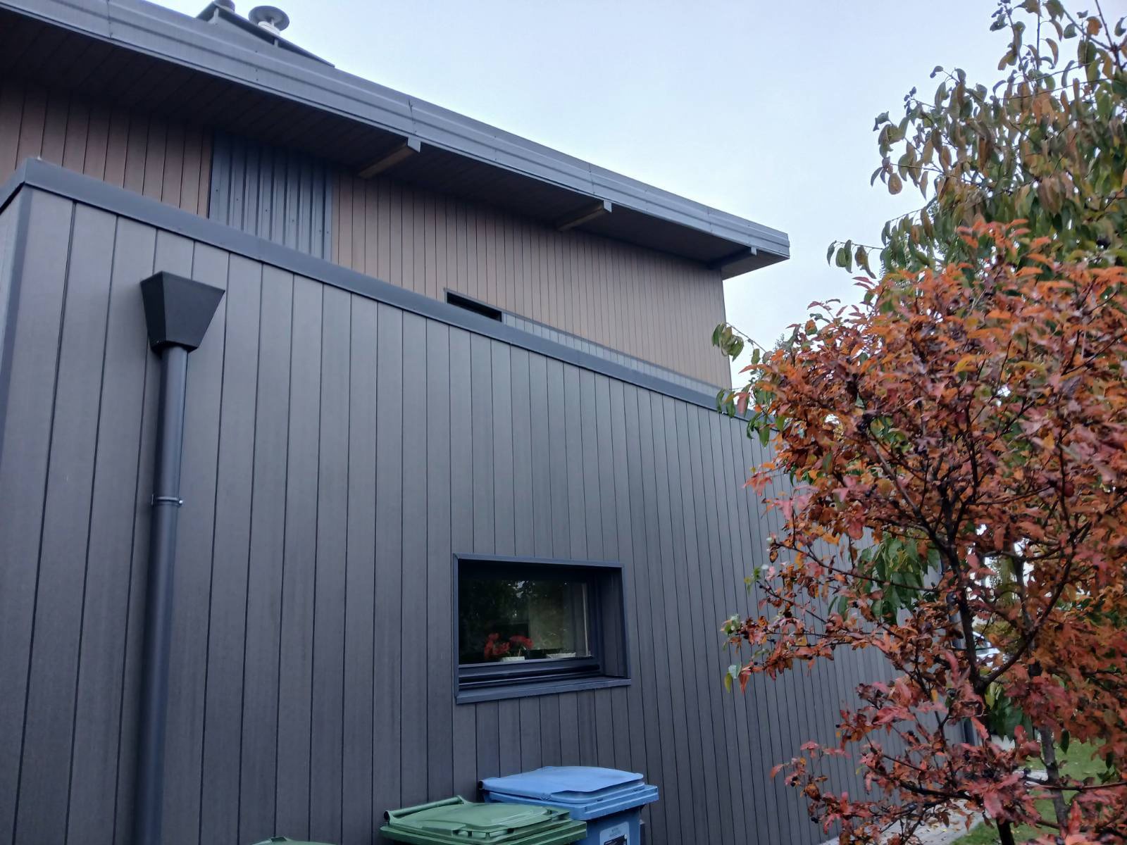 Fiberdeck ESSENTIAL Ipe 3,9 m. - Image 14